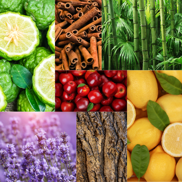 Qual fragrância combina mais com você?